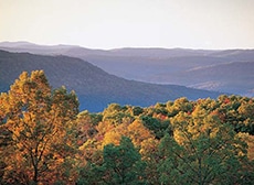 See the Fall Colors in Branson